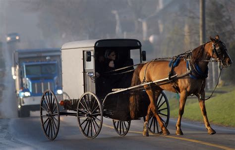 Amish Couple Killed After Their Horse-Drawn Buggy Is Rear-Ended by Pickup Truck - Newsweek