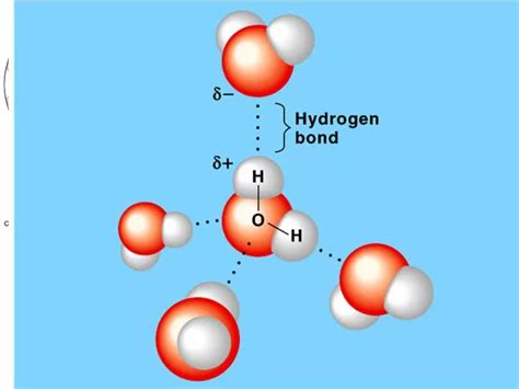 PPT - Water: The “universal solvent” PowerPoint Presentation, free download - ID:5871364