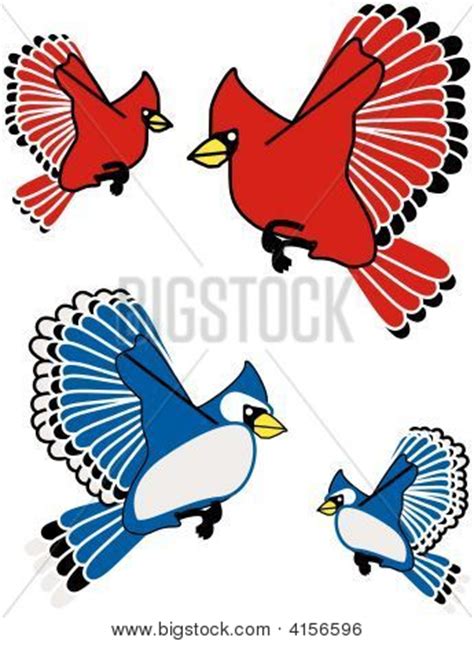 Blue Jay Cardinal Vector & Photo (Free Trial) | Bigstock