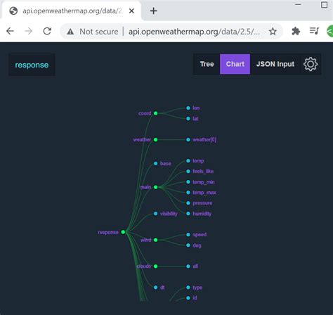 View JSON Data as a Tree Structure - Chrome Extension - SmartCodeHelper