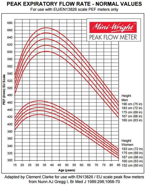 Peak Flow Diary | Asthma Peak Flow Meter Readings | Patient