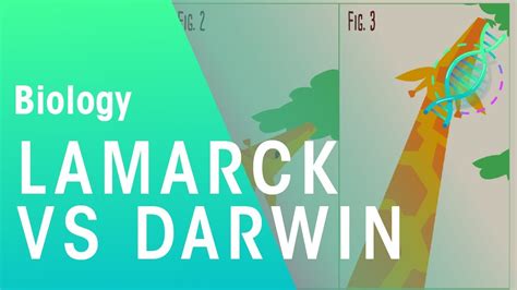 Darwin Vs Lamarck Worksheets