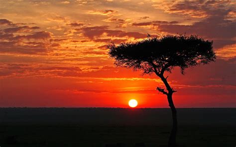 African Sunset Wallpapers - Wallpaper Cave