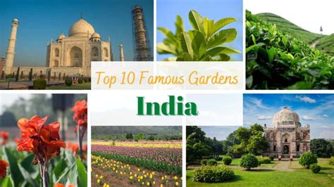 Discover the Beauty of India's Top 10 Famous Gardens Destinations