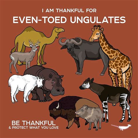 I Am Thankful For Even-Toed Ungulates by PepomintNarwhal | Endangered animals, Animal facts ...