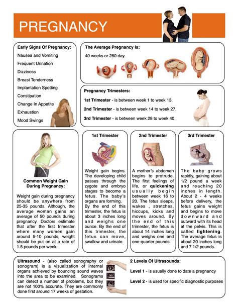 Pregnancy Worksheets