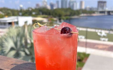 14 Rooftop Bars in Tampa for Sky-High Sips & Views (2024)