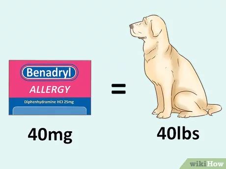 Can Benadryl Be Used To Treat Anxiety In Dogs