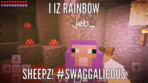 I got a sheep named jeb_ | Minecraft Amino