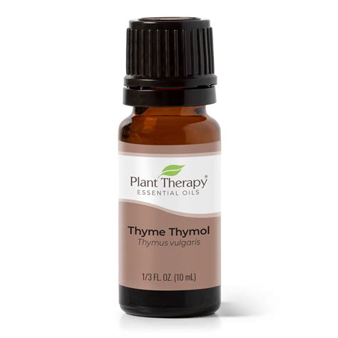 Thyme Thymol Essential Oil – Plant Therapy