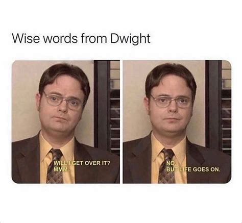 The Office Nbc, Best Of The Office, The Office Show, Office Fan, Funny Internet Memes, Funny ...