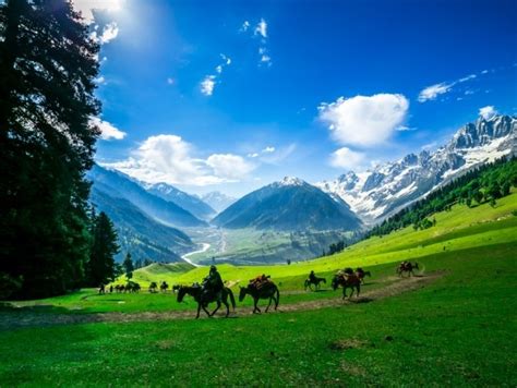 10 photos that prove Kashmir is not an overhyped tourist destination! | India.com