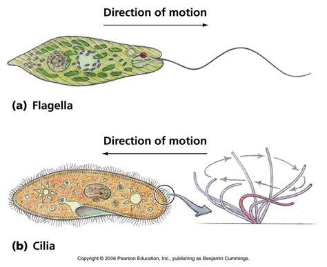 Pin on MicroB