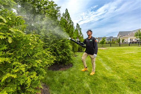 Mosquito Treatment Schedule: When to Start & How Often to Spray