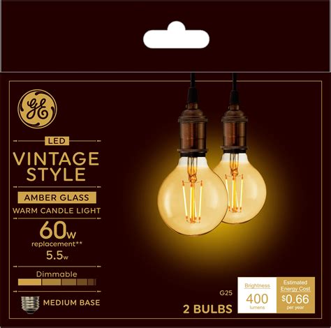 G25 Warm candle light Light Bulbs at Lowes.com