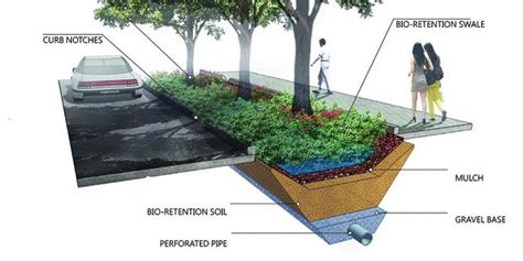 Typical design of a bioswale of city street [12] | Download Scientific ...