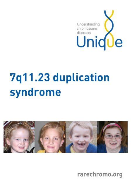 Chromosome Duplication