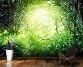 Deep Forest Light Wallpaper Wall Mural | Wallsauce UK