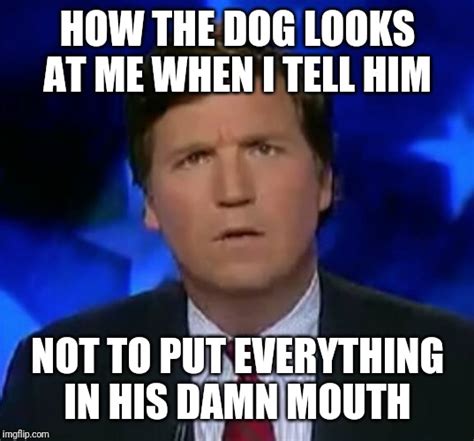 confused Tucker carlson - Imgflip