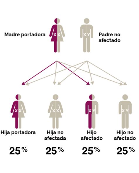 Distrofia Muscular De Duchenne Genetica Actualizado Enero | The Best ...