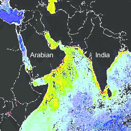 Relative distribution of chlorophyll a recorded from space in Sept ...