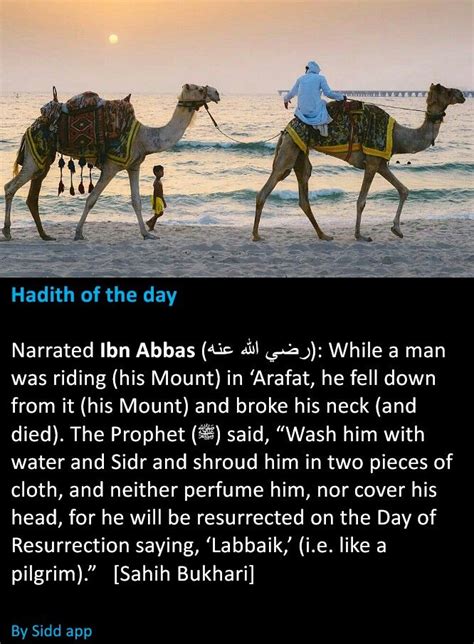 Pin on Hadith