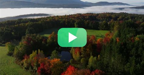 Vermont fall foliage 2023: Photos and video | New Hampshire Public Radio