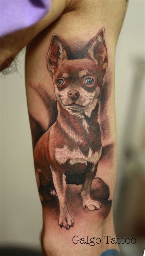 chihuahua tattoo, color tattoo, portrait | Chihuahua tattoo, Small dog tattoos, Dog tattoo