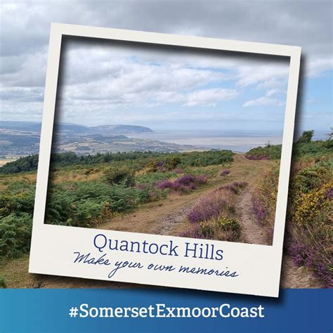 Quantock Hills - Somerset and Exmoor Coast Festival