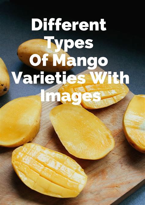 16 Different Types Of Mango Varieties With Images - Asian Recipe