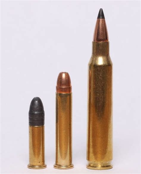 22 Magnum Ammo Vs 22Lr - img-plum