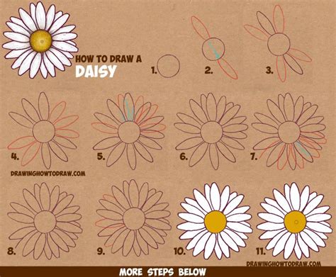 How to Draw a Daisy Flower (Daisies) in Easy Step by Step Drawing Instructions Tutorial for ...