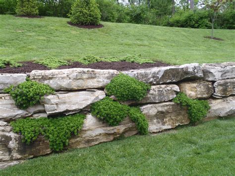 boulder meets timber retaining wall | Tuin en landschap, Tuin ideeën, Tuin