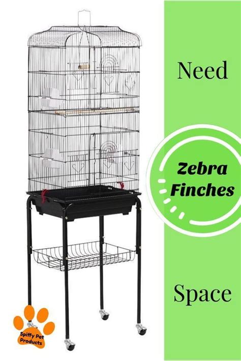 Zebra Finch Cage Setup Ideas & Tips! - Spiffy Pet Products | Finch cage ...