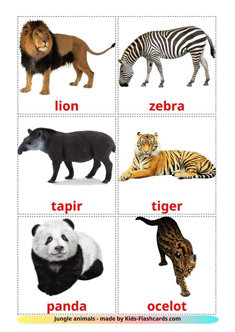 Animals Flashcards Pdf