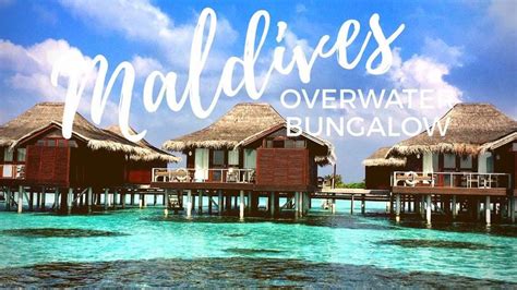 MALDIVES Anantara Veli Overwater Bungalow Room Tour - YouTube | Overwater bungalows, Maldives ...