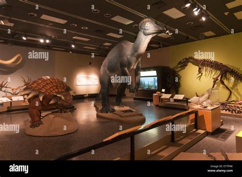 Elk203-5276 Canada, Alberta, Edmonton, Royal Alberta Museum, dinosaur diorama Stock Photo - Alamy