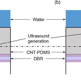 Ultrasound pulse generation mechanism in (a) forward mode and (b ...