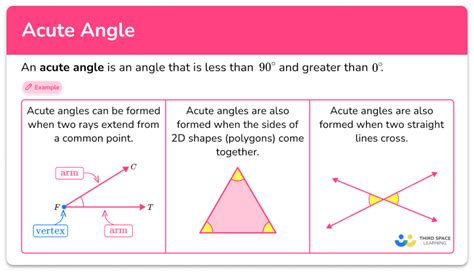 Acute Angle - Math Steps, Examples & Questions