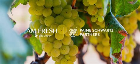 AM FRESH Group and Paine Schwartz Partners Announce Joint Investment to ...