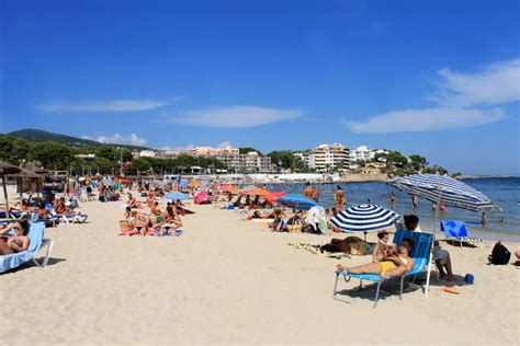 Women sunbathing on beach editorial stock photo. Image of sunbathers - 29492378