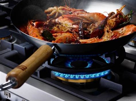 Redefine Your Standards In Range Cookers| Britannia Living