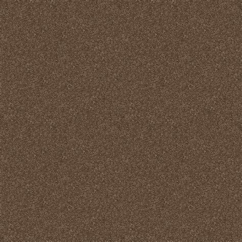 TrafficMaster Alpine - Adventure - Brown 17.3 oz. Polyester Texture ...