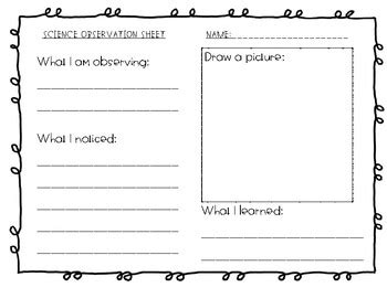 Science Observation Sheet by Voracious Teaching | TpT