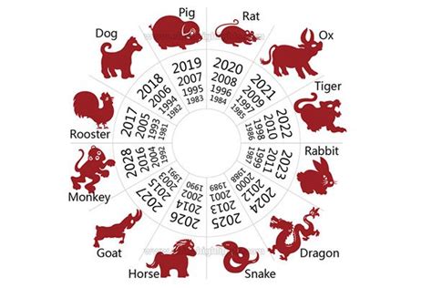 Chinese Zodiac: Dragon Year 2024, Your Horoscope Predictions | Chinese zodiac, Chinese astrology ...