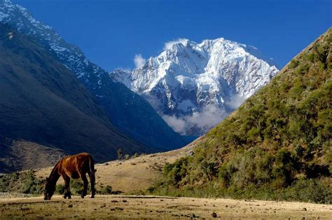 SALKANTAY TREK TO MACHU PICCHU in 5 days