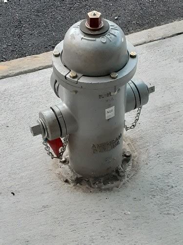 American Darling Grey Fire Hydrant | Silently standing guard… | Flickr