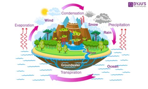 Stages Of A Water Cycle