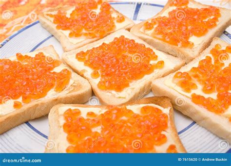 Caviar toast stock photo. Image of salmon, softness, savory - 7615620