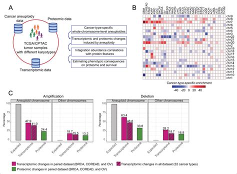 Transcriptomic and proteomic changes in aneuploid tumors. (A) Data used... | Download Scientific ...